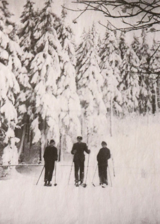 Torchon "Forêt" blanc