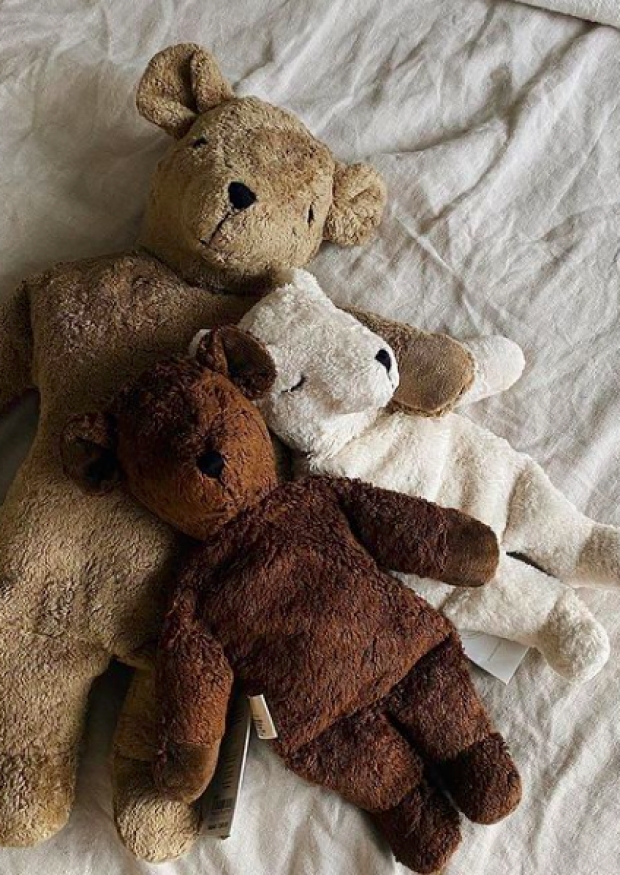 Light brown bear Plush-warming pillow