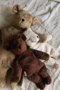 Light brown bear Plush-warming pillow