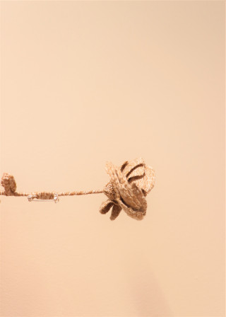 Brooch n°3