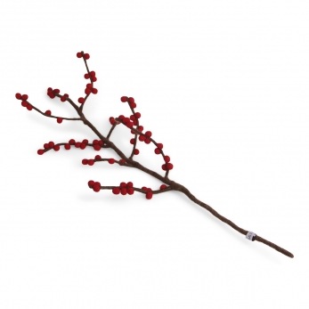 Wool branch with red berries