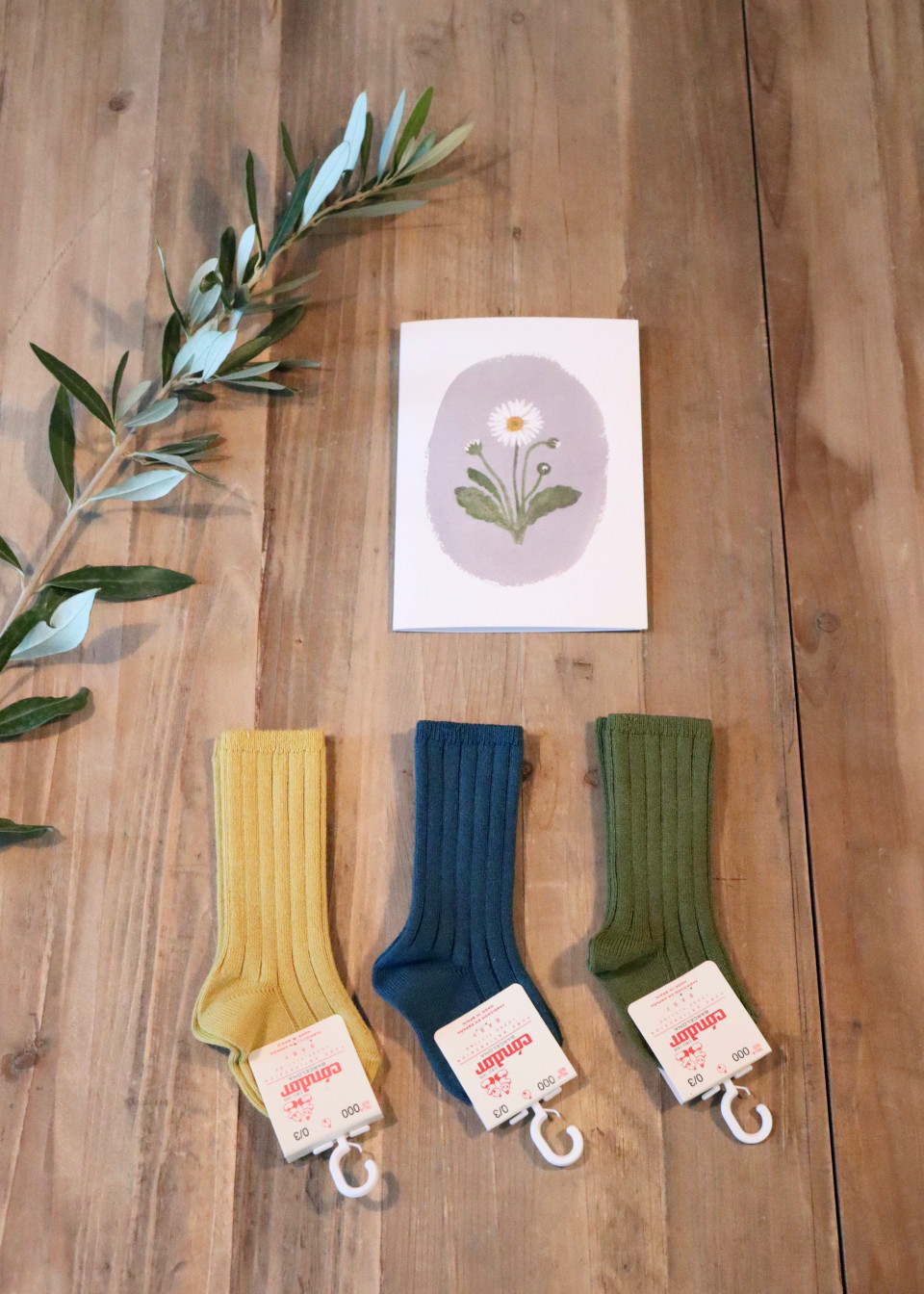 Chaussettes hautes en coton algue - CONDOR