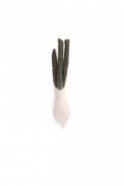 Felted spring onion