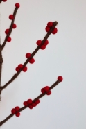 Branche en laine avec baies rouges