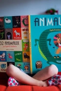 Animals Book