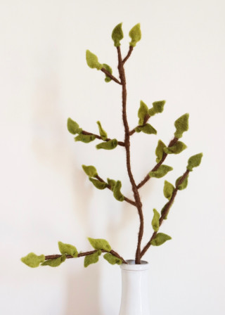 Wool branch with green leaves