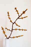 Wool branch with yellow berries