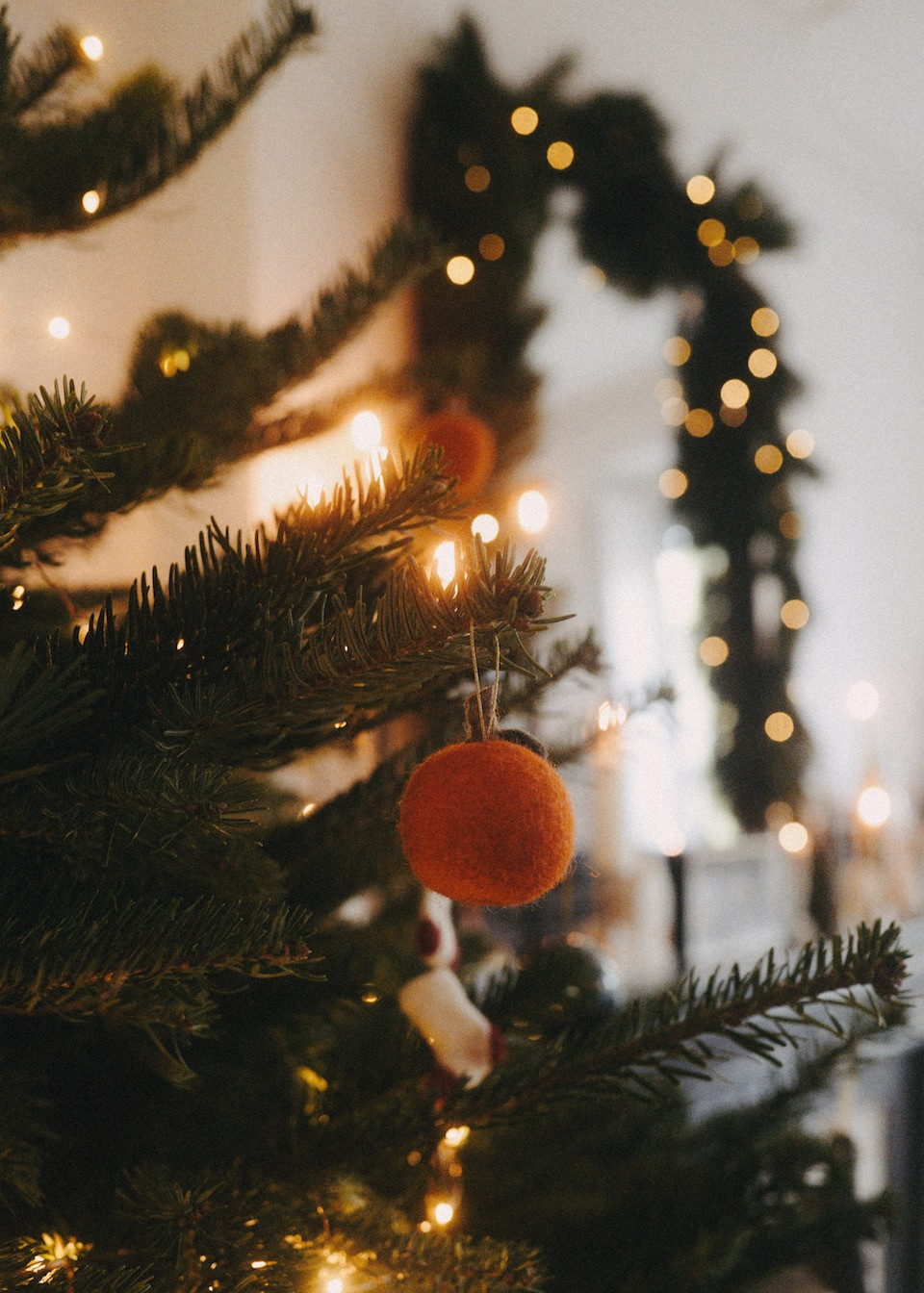 Hanging clementine box - MUSKHANE