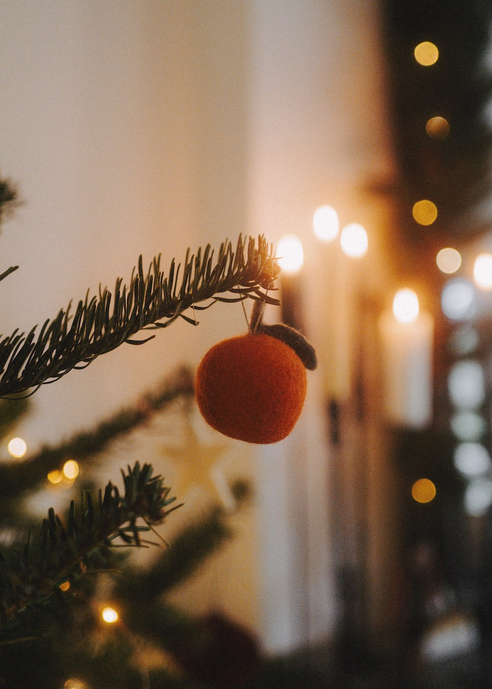 Hanging clementine box - MUSKHANE