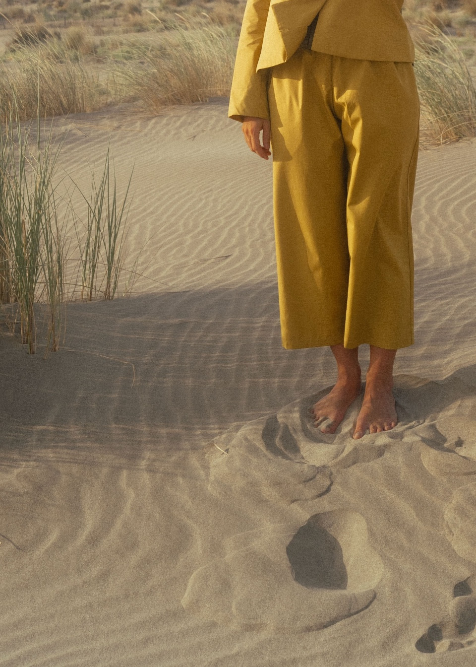 Wide trousers in Sun coated cotton - LE VESTIAIRE DE JEANNE Wide trousers in Sun coated cotton - LE VESTIAIRE DE JEANNE