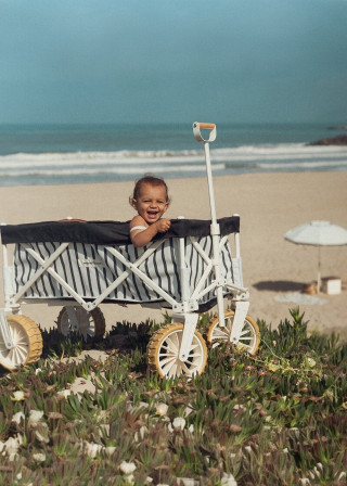 Chariot de plage, rayures noires
