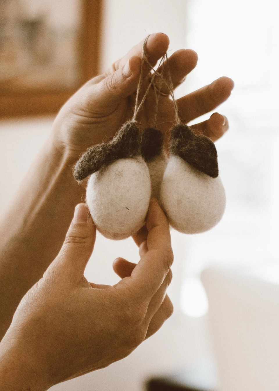 6 hanging pears - GOLDRICK NATURAL LIVING