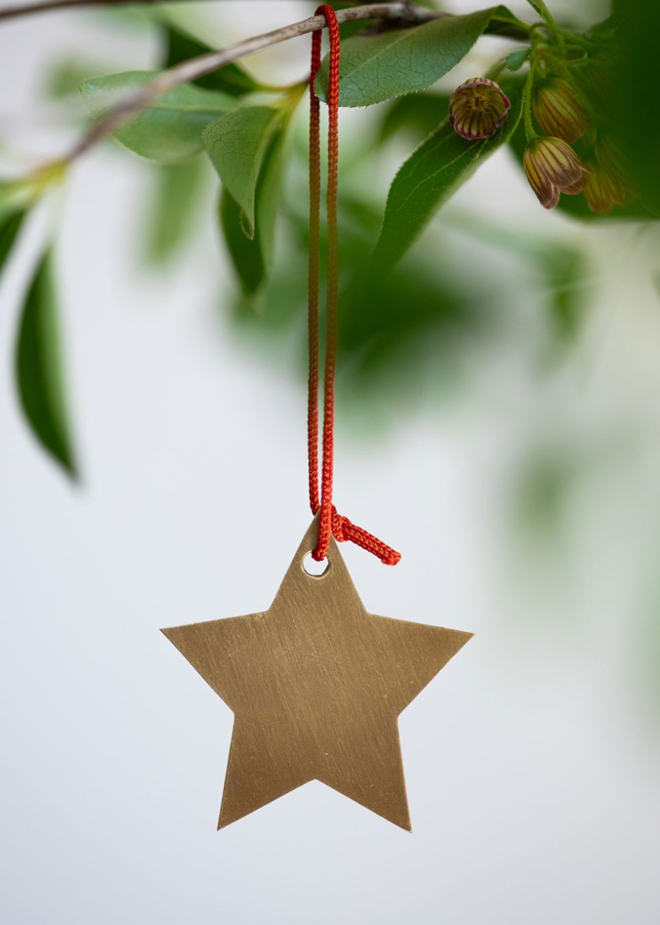 Brass Star Ornament - MUSKHANE