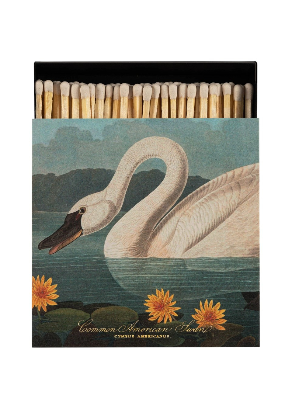 Square matchbox "Swan" - ARCHIVIST GALLERY