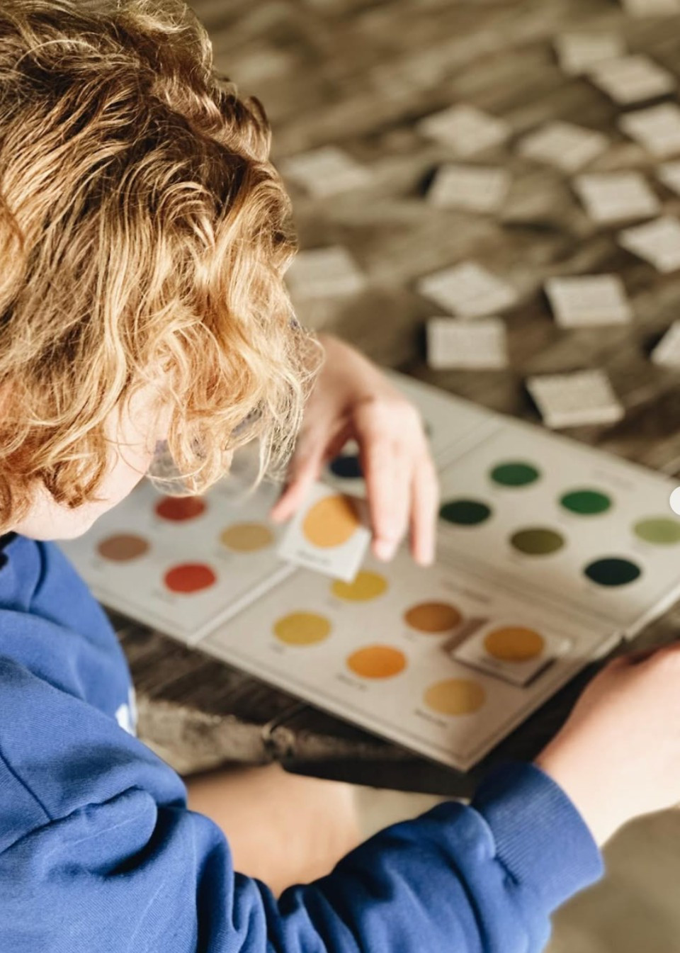 THE PAINTER'S WORKSHOP - THÉA MENEUR