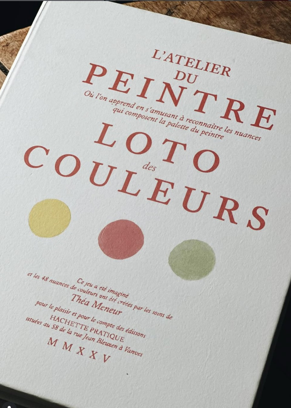 THE PAINTER'S WORKSHOP - THÉA MENEUR