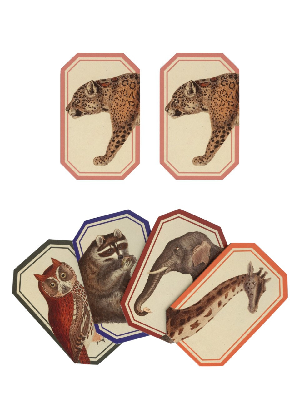 Memory game Animal Kingdom - ROOMYTOWN