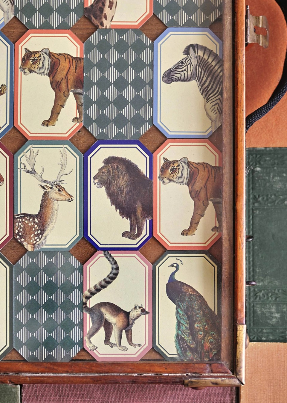 Memory game Animal Kingdom - ROOMYTOWN