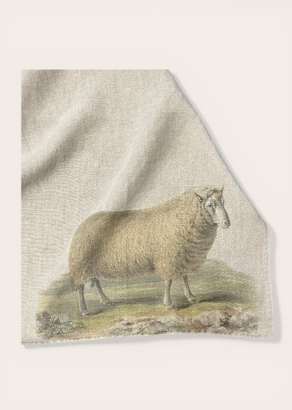 Torchon en lin "Mouton" - LINOROOM